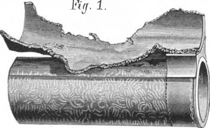 An illustration from Scientific American, Vol. 50, No. 19 (May 1884), 1884, leaf 8