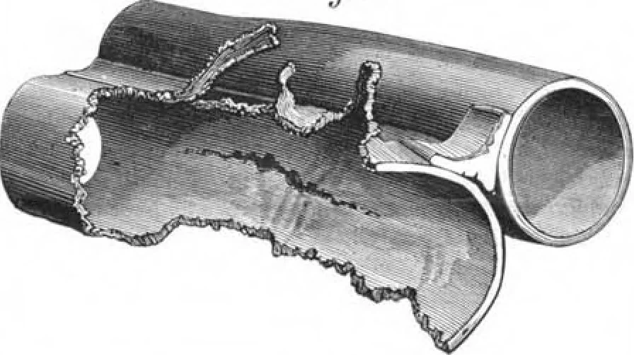 An illustration from Scientific American, Vol. 50, No. 19 (May 1884), 1884, leaf 8