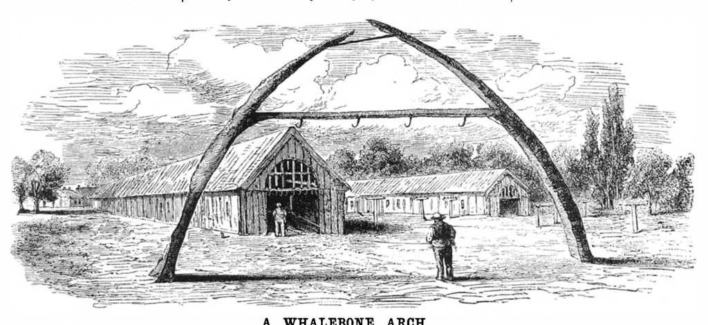 An illustration from Scientific American, Vol. 50, No. 23 (June 1884), 1884, leaf 8