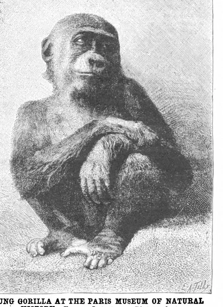 An illustration from Scientific American, Vol. 50, No. 26 (June 1884), 1884, leaf 8