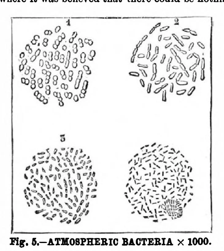 An illustration from Scientific American, Vol. 51, No. 18 (November 1884), 1884, leaf 8