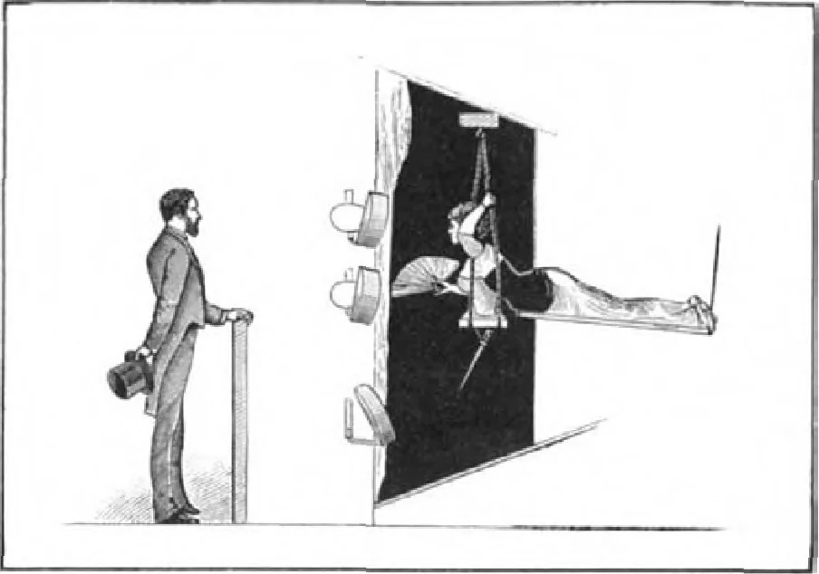 An illustration from Scientific American, Vol. 51, No. 20 (November 1884), 1884, leaf 8