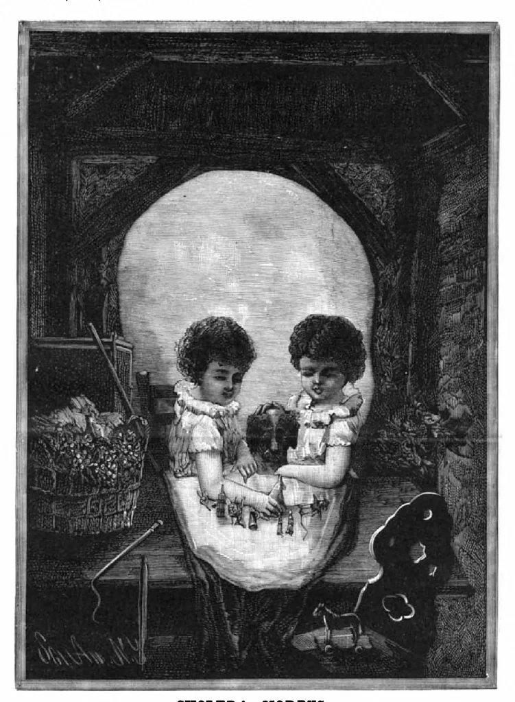 An illustration from Scientific American, Vol. 51, No. 21 (November 1884), 1884, leaf 8