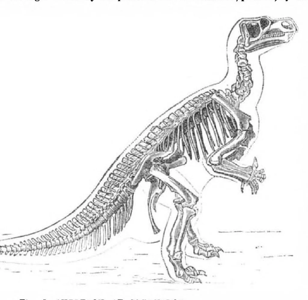 An illustration from Scientific American, Vol. 51, No. 22 (November 1884), 1884, leaf 8