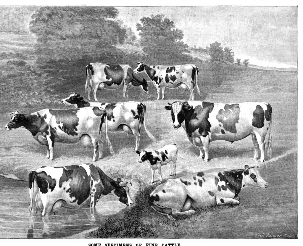 An illustration from Scientific American, Vol. 51, No. 24 (December 1884), 1884, leaf 8