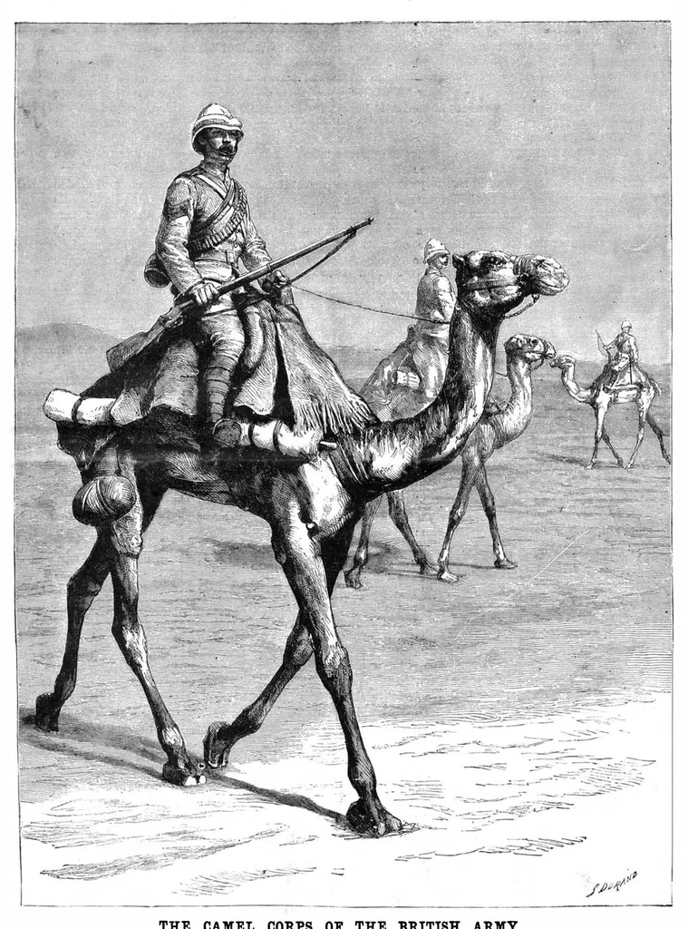 An illustration from Scientific American, Vol. 51, No. 25 (December 1884), 1884, leaf 8
