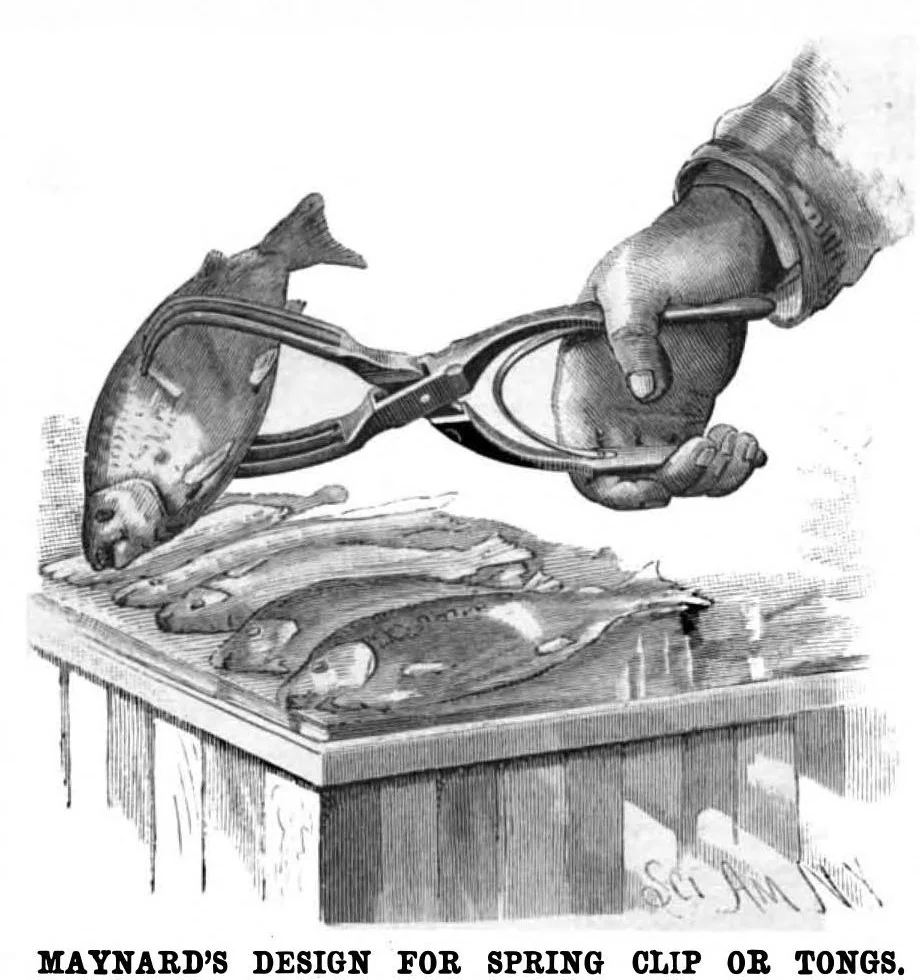 An illustration from Scientific American, Vol. 52, No. 4 (January 1885), 1885, leaf 3