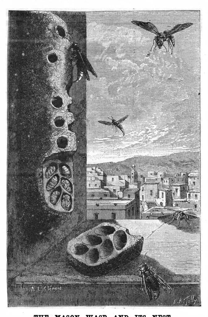 An illustration from Scientific American, Vol. 52, No. 5 (January 1885), 1885, leaf 8