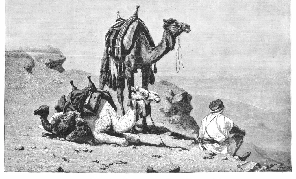 An illustration from Scientific American, Vol. 52, No. 11 (March 1885), 1885, leaf 8