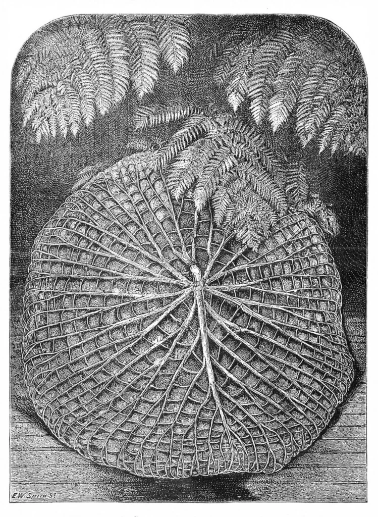 An illustration from Scientific American, Vol. 52, No. 14 (April 1885), 1885, leaf 10