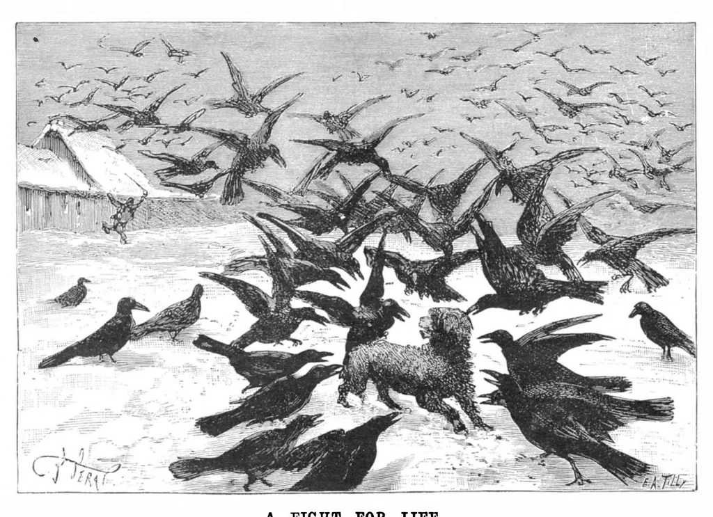 An illustration from Scientific American, Vol. 52, No. 15 (April 1885), 1885, leaf 8