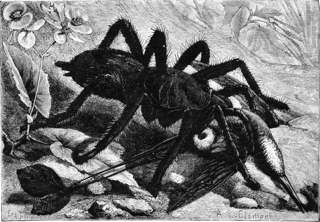 An illustration from Scientific American, Vol. 52, No. 16 (April 1885), 1885, leaf 8