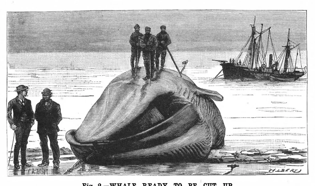 An illustration from Scientific American, Vol. 52, No. 20 (May 1885), 1885, leaf 8