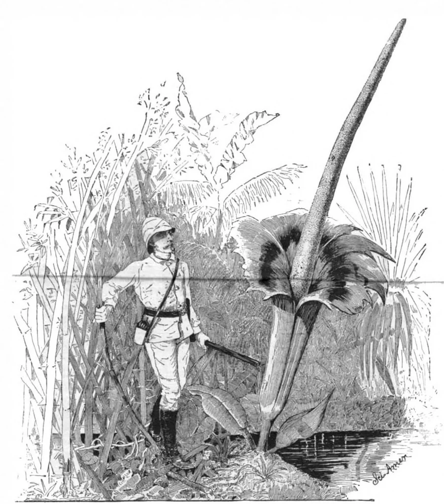 An illustration from Scientific American, Vol. 53, No. 3 (July 1885), 1885, leaf 8