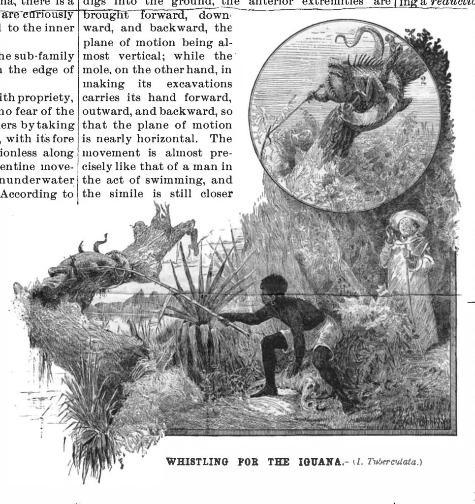 An illustration from Scientific American, Vol. 53, No. 4 (July 1885), 1885, leaf 10