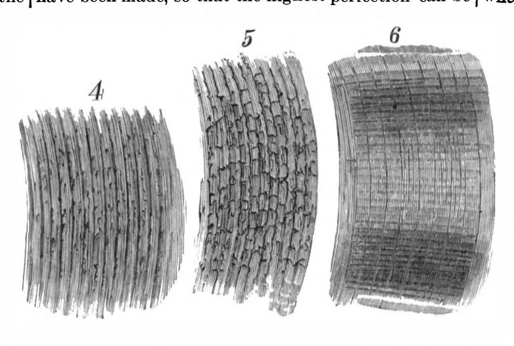 An illustration from Scientific American, Vol. 53, No. 4 (July 1885), 1885, leaf 7