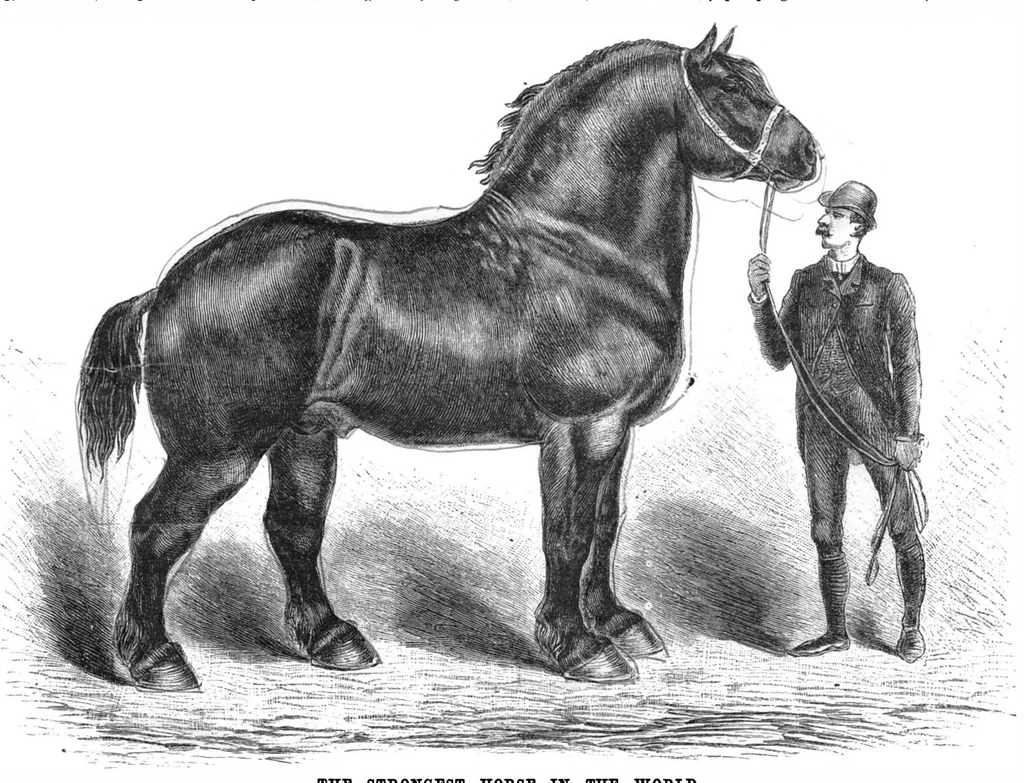 An illustration from Scientific American, Vol. 53, No. 8 (August 1885), 1885, leaf 10