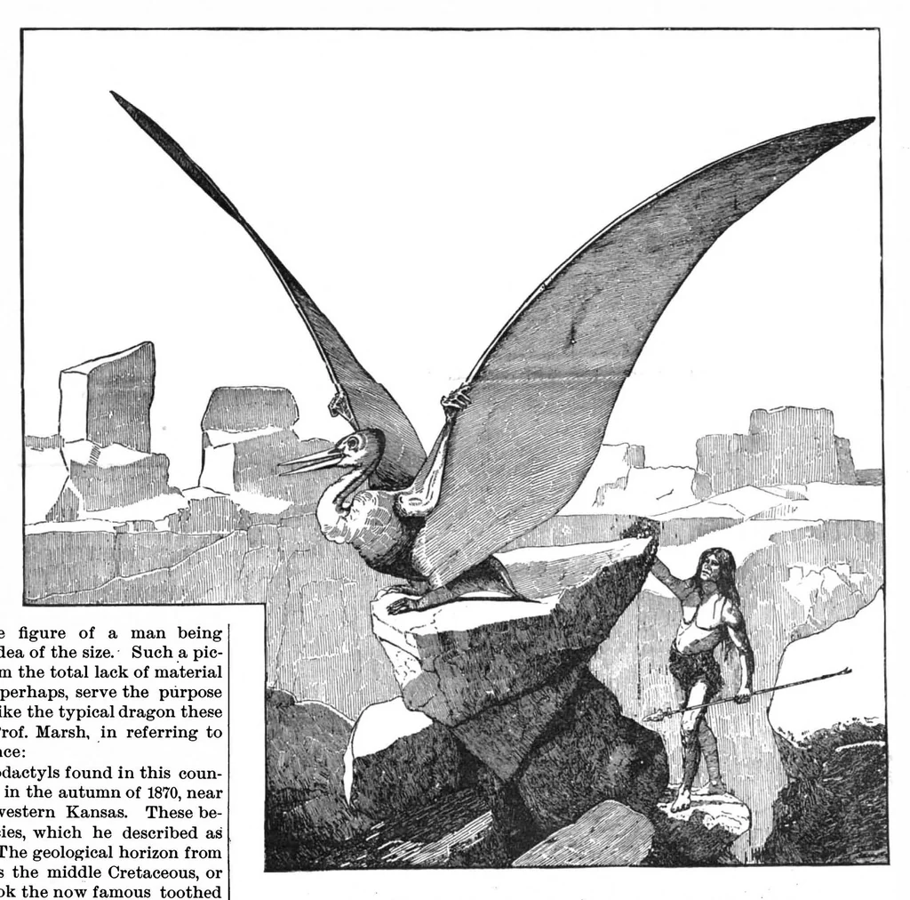 An illustration from Scientific American, Vol. 53, No. 9 (August 1885), 1885, leaf 10