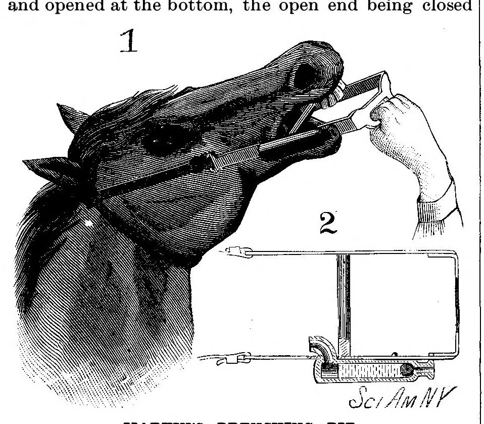 An illustration from Scientific American, Vol. 53, No. 11 (September 1885), 1885, leaf 3