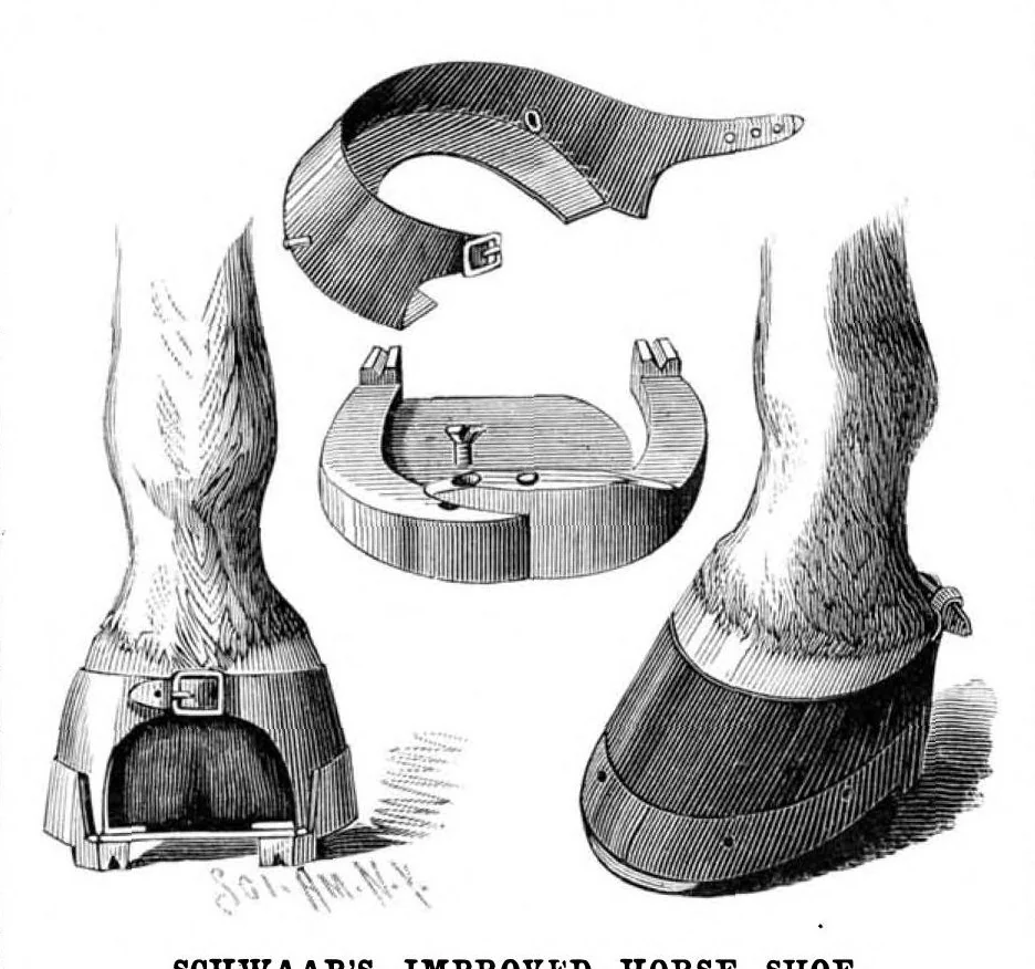 An illustration from Scientific American, Vol. 53, No. 13 (September 1885), 1885, leaf 3