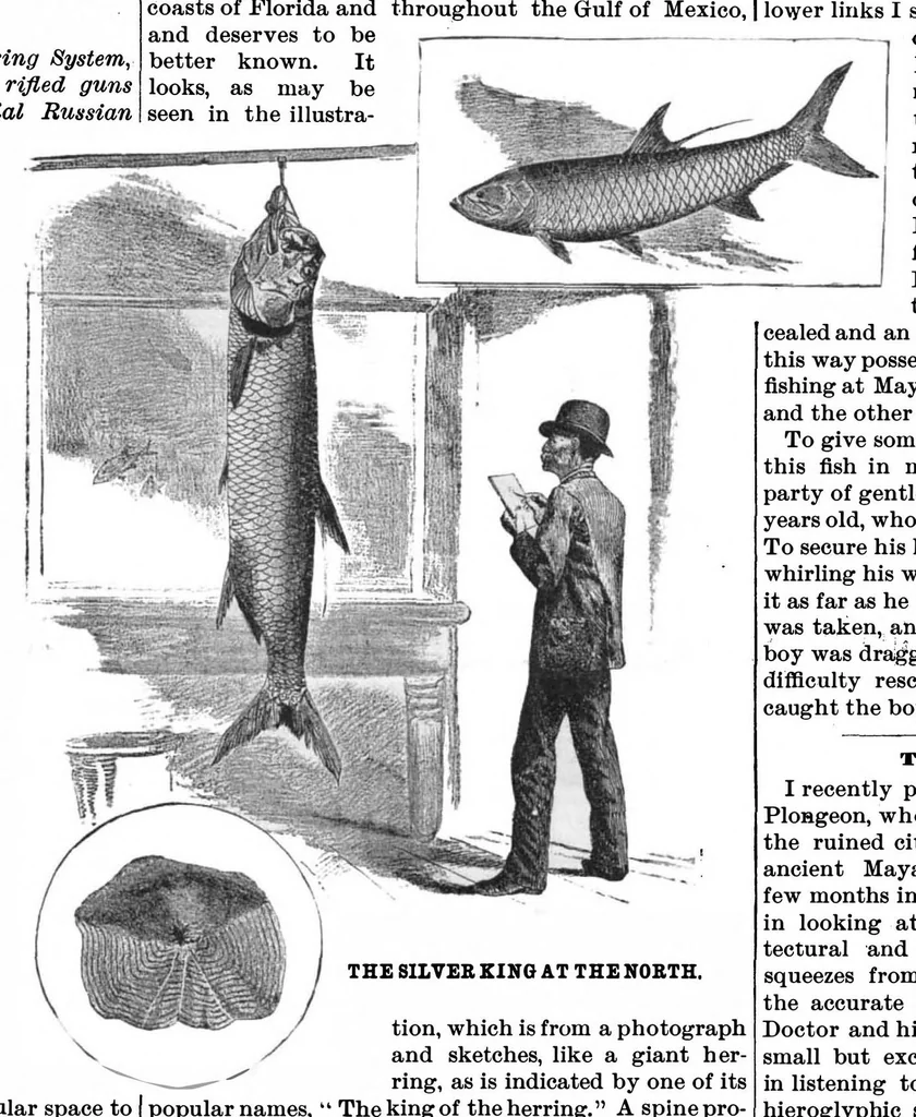 An illustration from Scientific American, Vol. 53, No. 23 (December 1885), 1885, leaf 9
