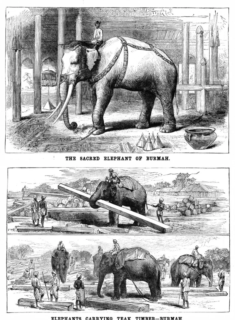 An illustration from Scientific American, Vol. 54, No. 3 (January 1886), 1886, leaf 10