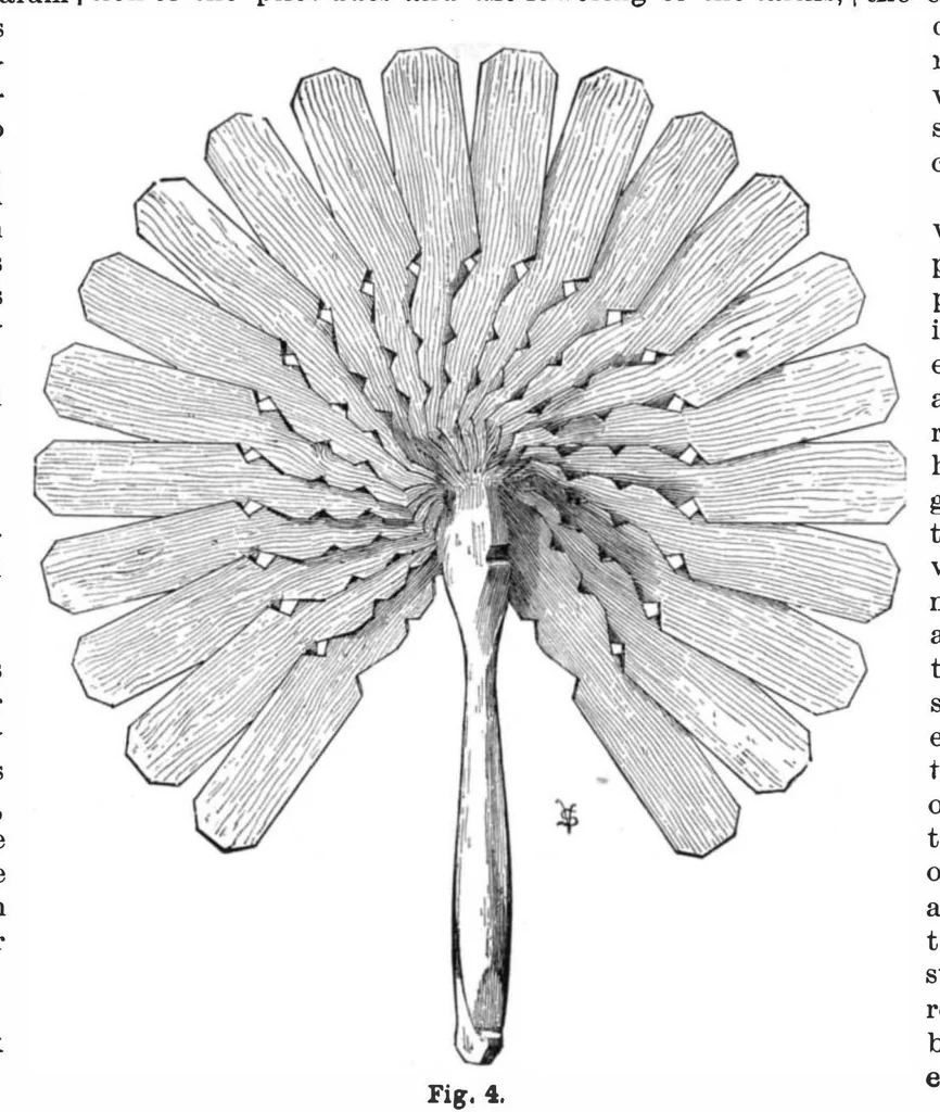 An illustration from Scientific American, Vol. 54, No. 5 (January 1886), 1886, leaf 10