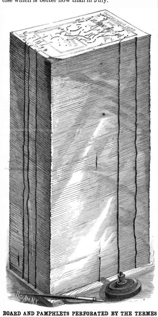 An illustration from Scientific American, Vol. 54, No. 5 (January 1886), 1886, leaf 8