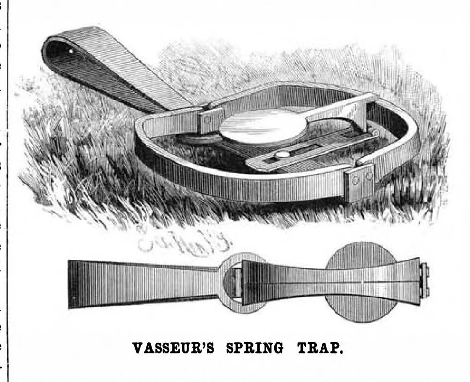 An illustration from Scientific American, Vol. 54, No. 6 (February 1886), 1886, leaf 3