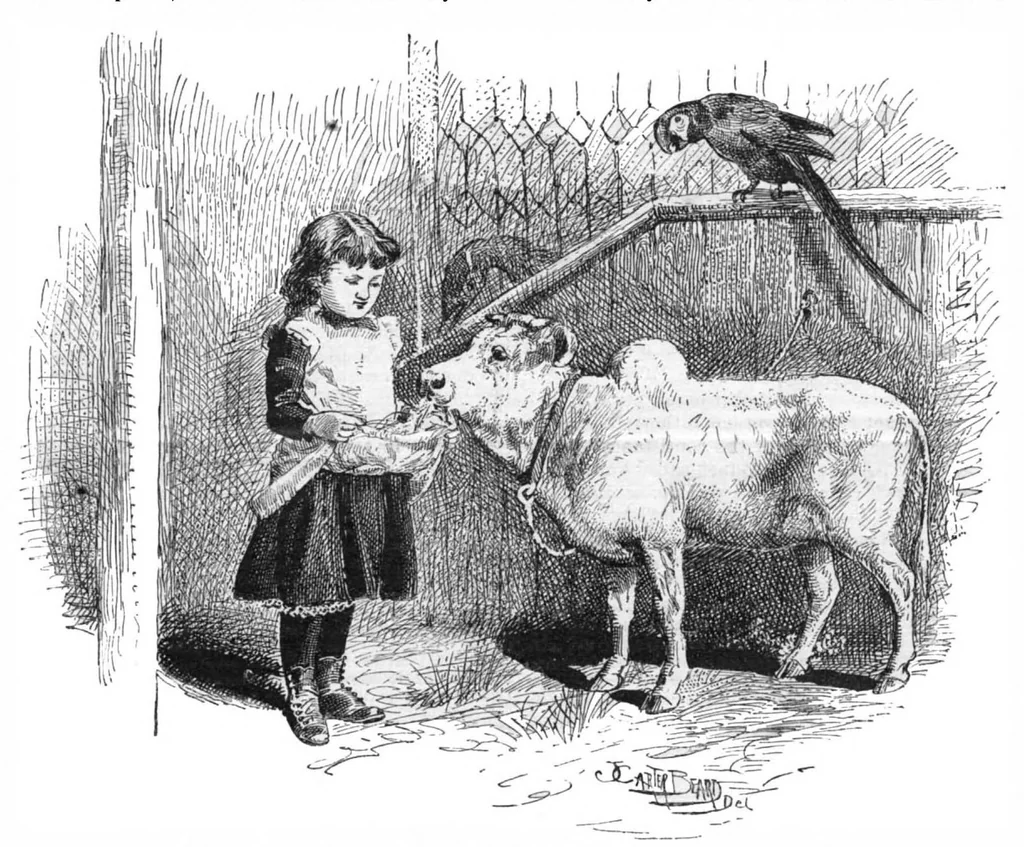 An illustration from Scientific American, Vol. 54, No. 16 (April 1886), 1886, leaf 10