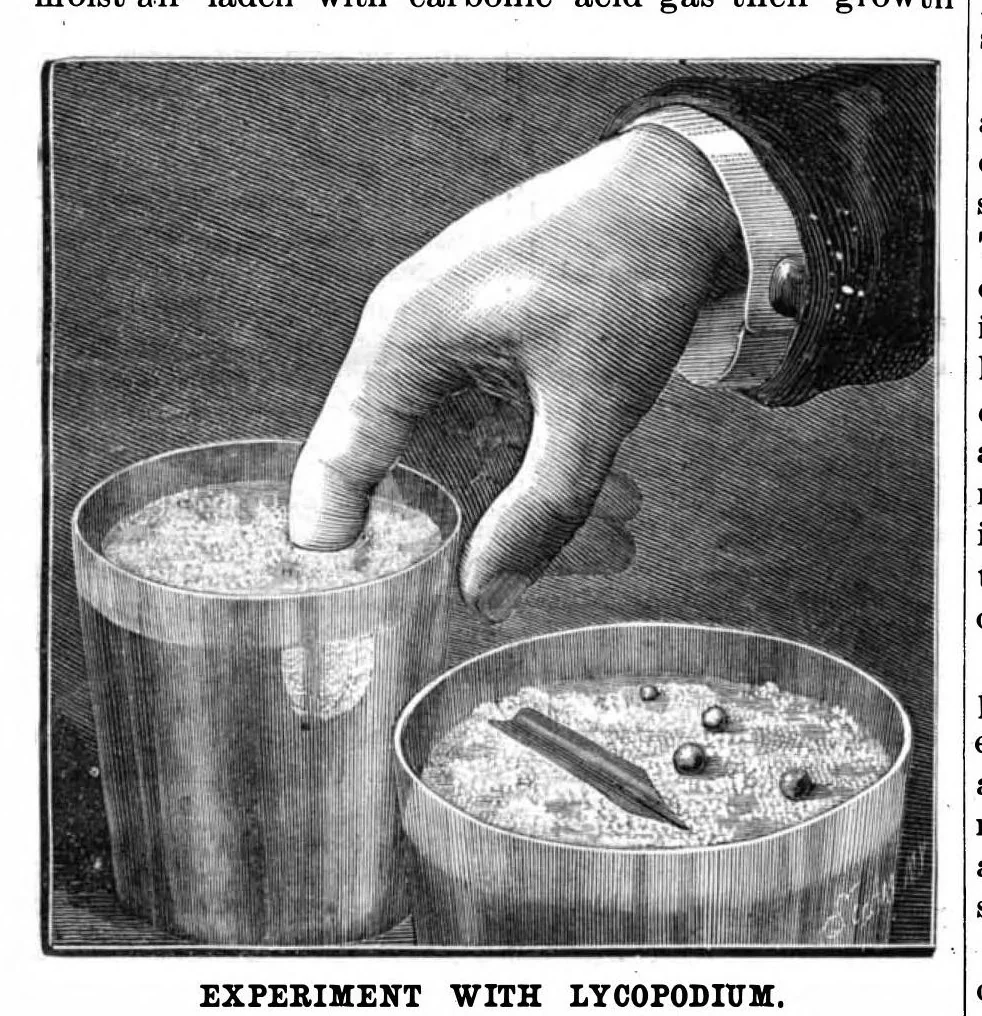 An illustration from Scientific American, Vol. 54, No. 25 (June 1886), 1886, leaf 10