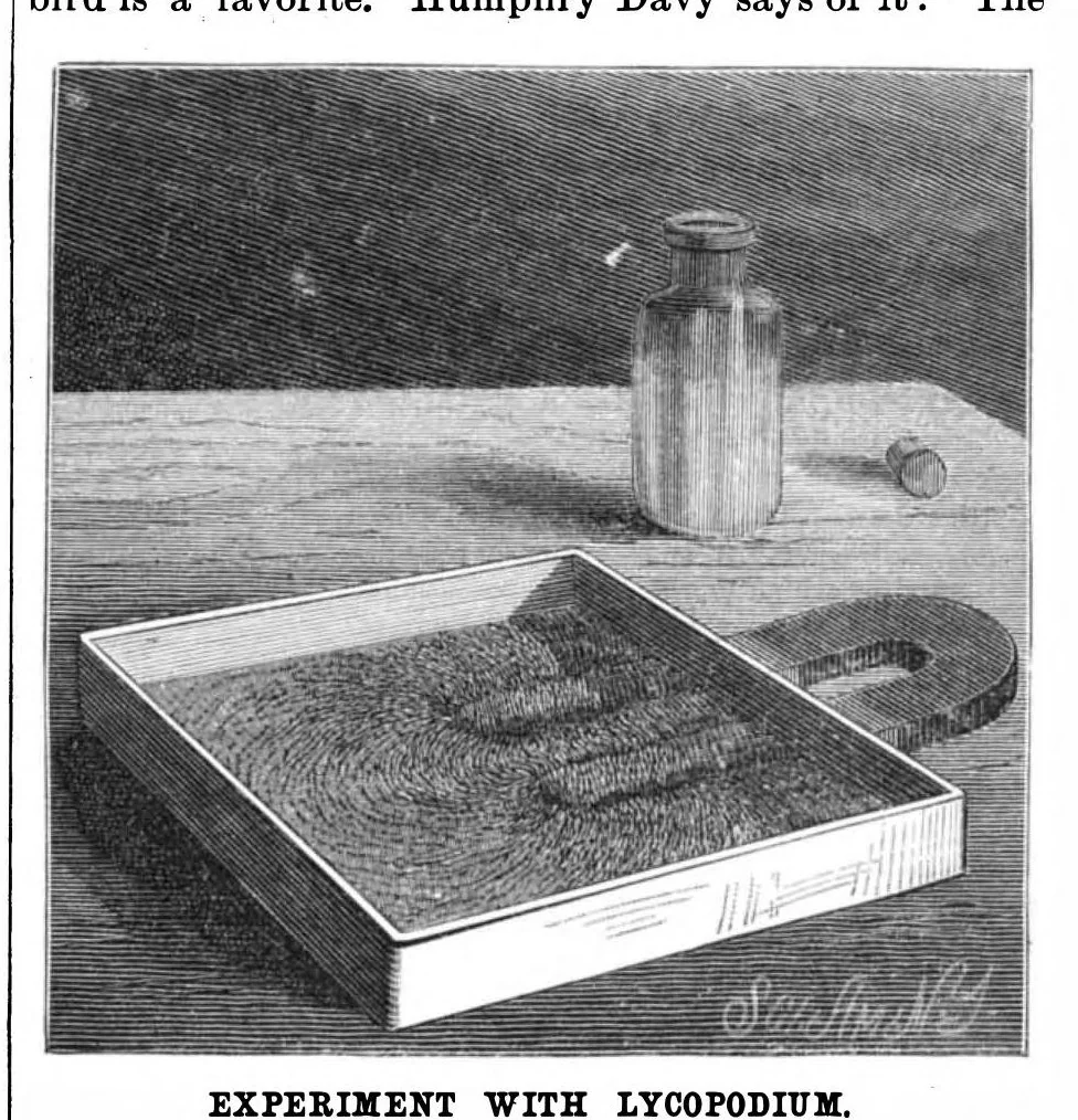 An illustration from Scientific American, Vol. 54, No. 25 (June 1886), 1886, leaf 10