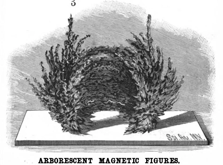 An illustration from Scientific American, Vol. 55, No. 7 (August 1886), 1886, leaf 7