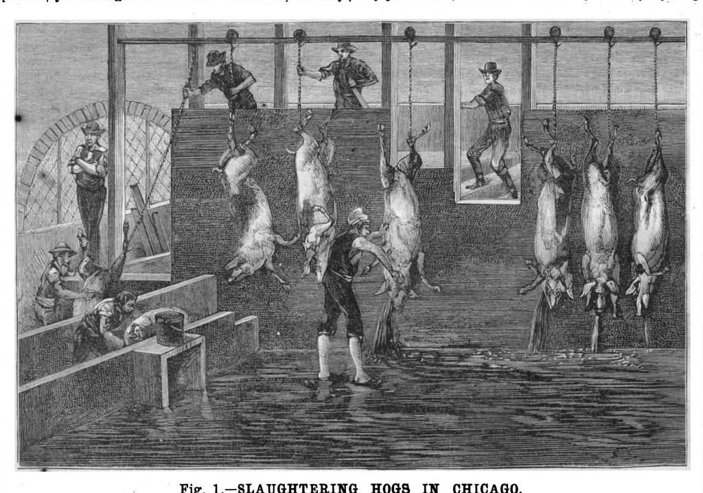 An illustration from Scientific American, Vol. 55, No. 8 (August 1886), 1886, leaf 9