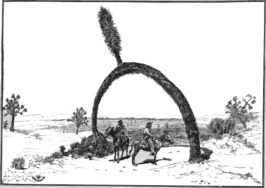 An illustration from Scientific American, Vol. 55, No. 9 (August 1886), 1886, leaf 8