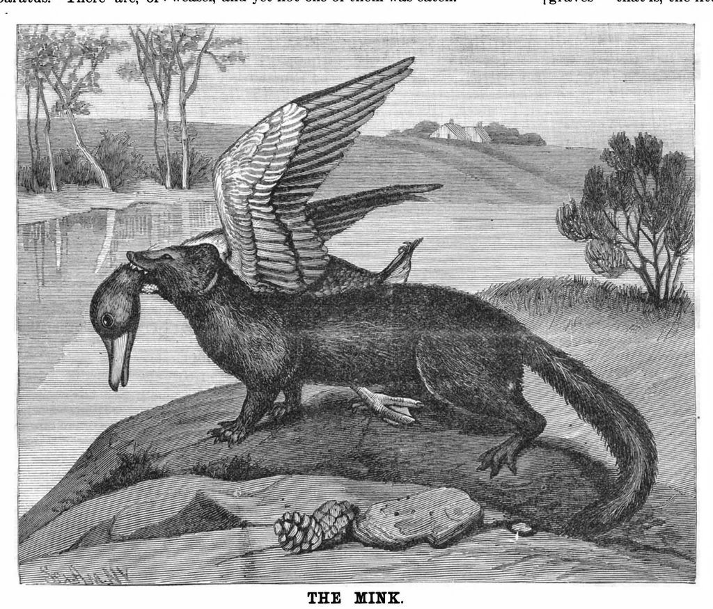 An illustration from Scientific American, Vol. 55, No. 13 (September 1886), 1886, leaf 9