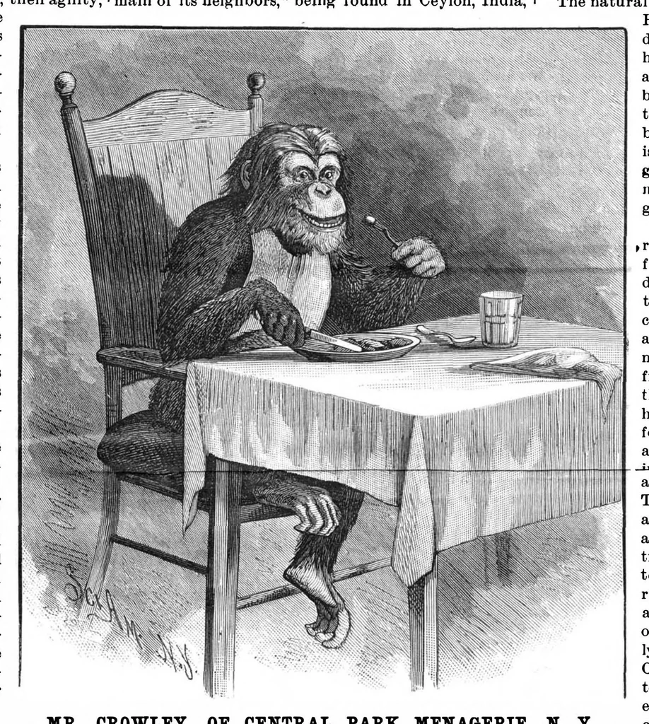 An illustration from Scientific American, Vol. 55, No. 17 (October 1886), 1886, leaf 8