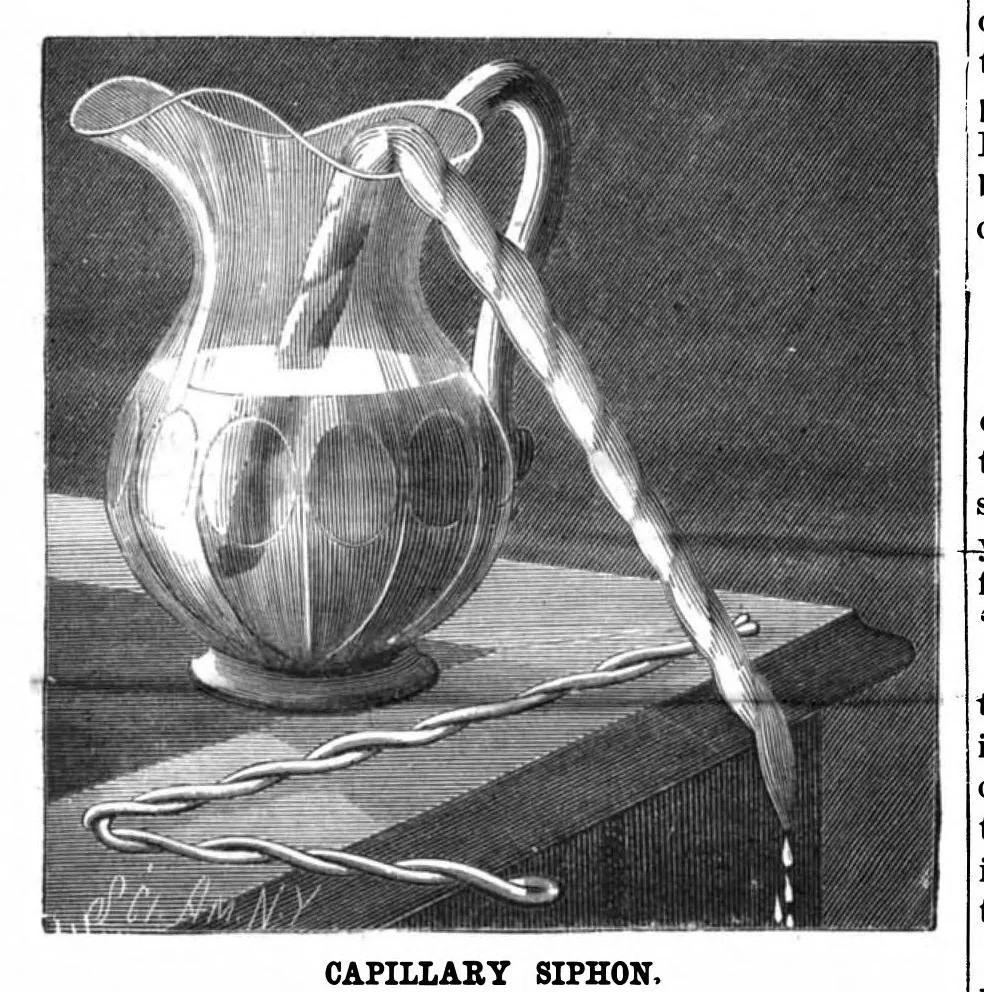 An illustration from Scientific American, Vol. 55, No. 22 (November 1886), 1886, leaf 10