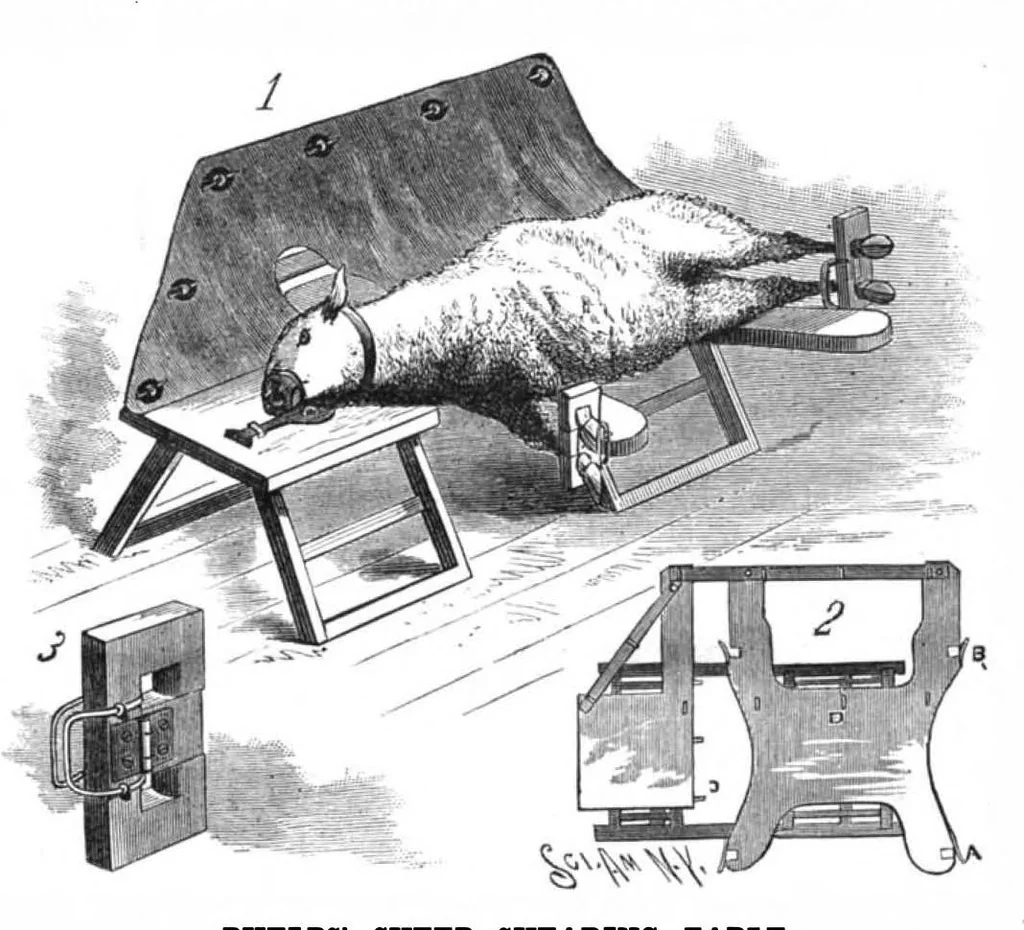 An illustration from Scientific American, Vol. 55, No. 24 (December 1886), 1886, leaf 4