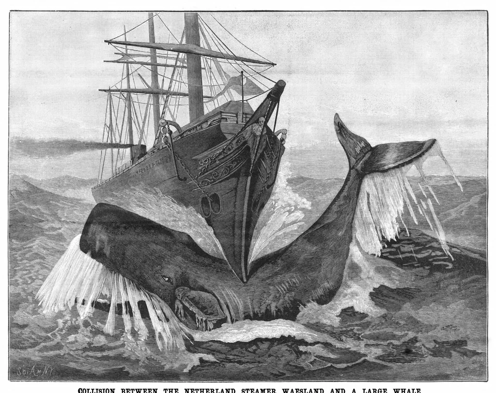 An illustration from Scientific American, Vol. 55, No. 24 (December 1886), 1886, leaf 8
