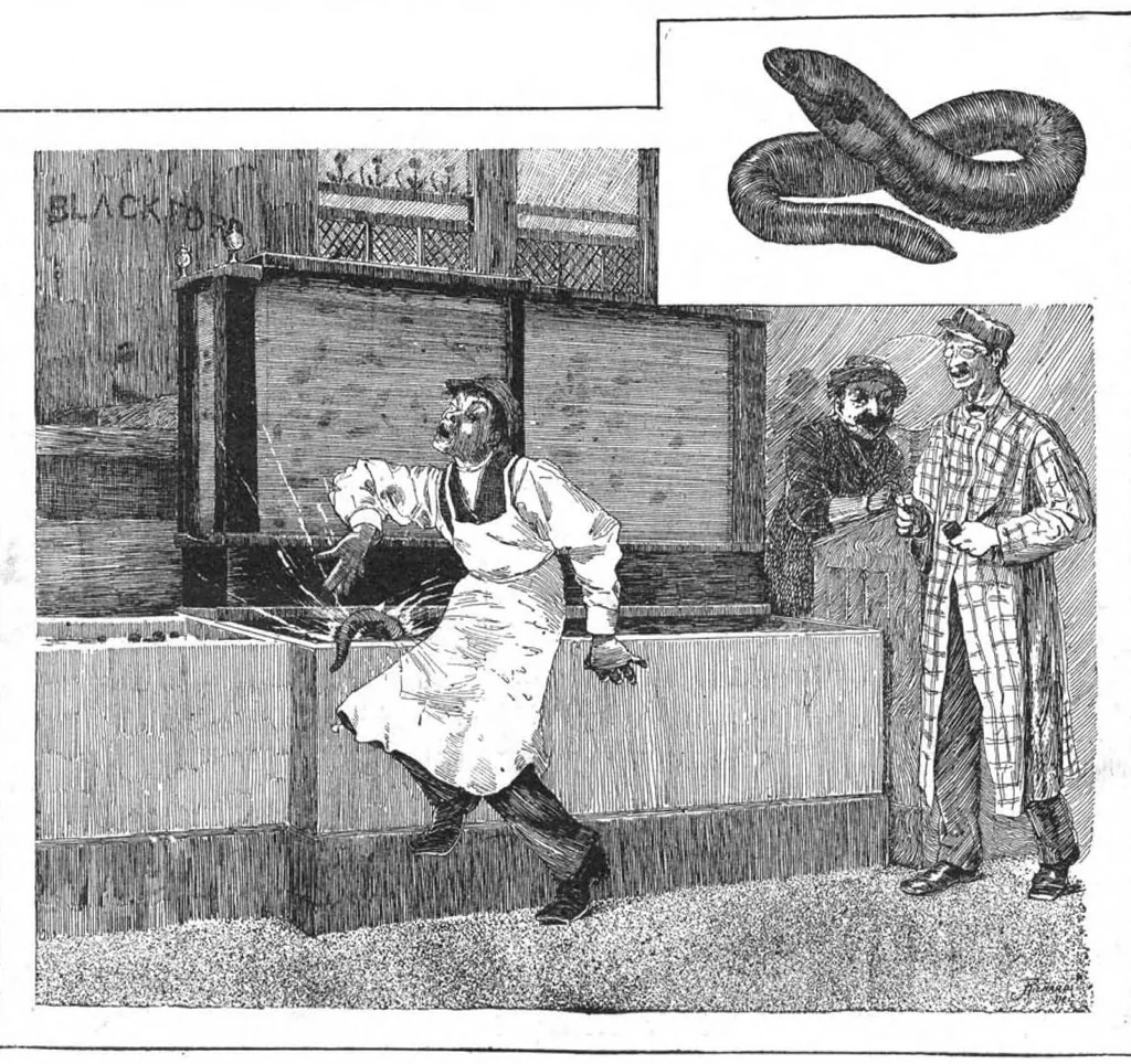 An illustration from Scientific American, Vol. 55, No. 25 (December 1886), 1886, leaf 8