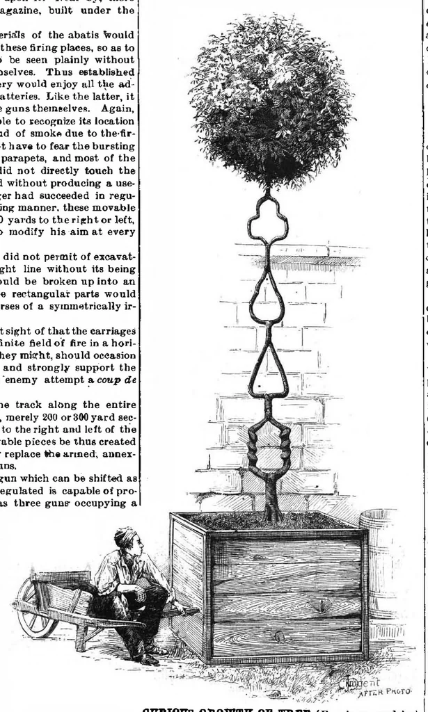 An illustration from Scientific American, Vol. 56, No. 1 (January 1887), 1887, leaf 9