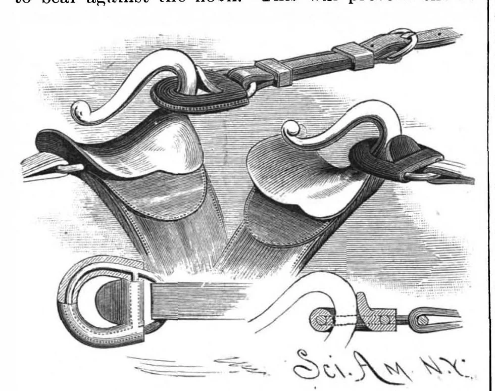 An illustration from Scientific American, Vol. 56, No. 2 (January 1887), 1887, leaf 5