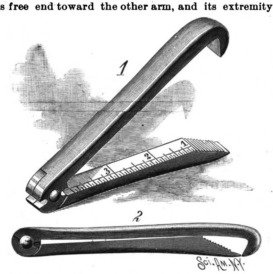 An illustration from Scientific American, Vol. 56, No. 5 (January 1887), 1887, leaf 4