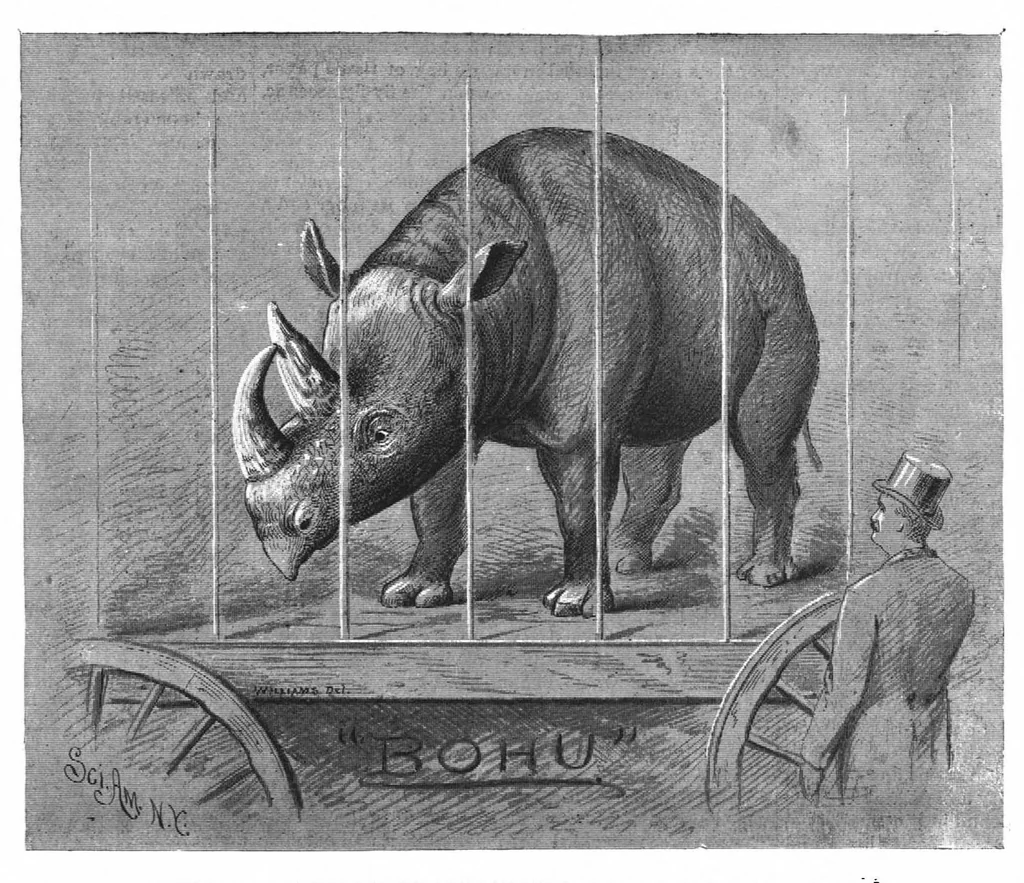 An illustration from Scientific American, Vol. 56, No. 5 (January 1887), 1887, leaf 8