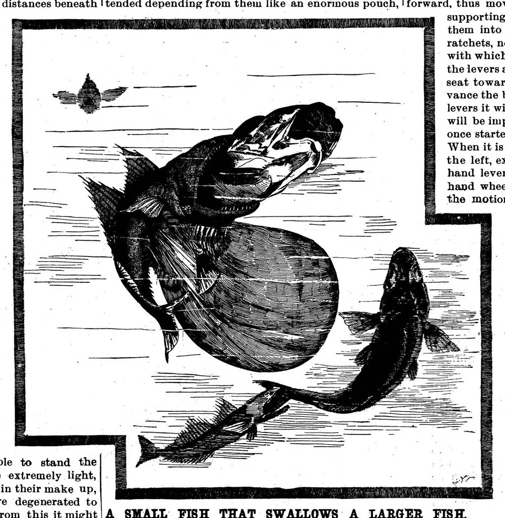 An illustration from Scientific American, Vol. 56, No. 6 (February 1887), 1887, leaf 8