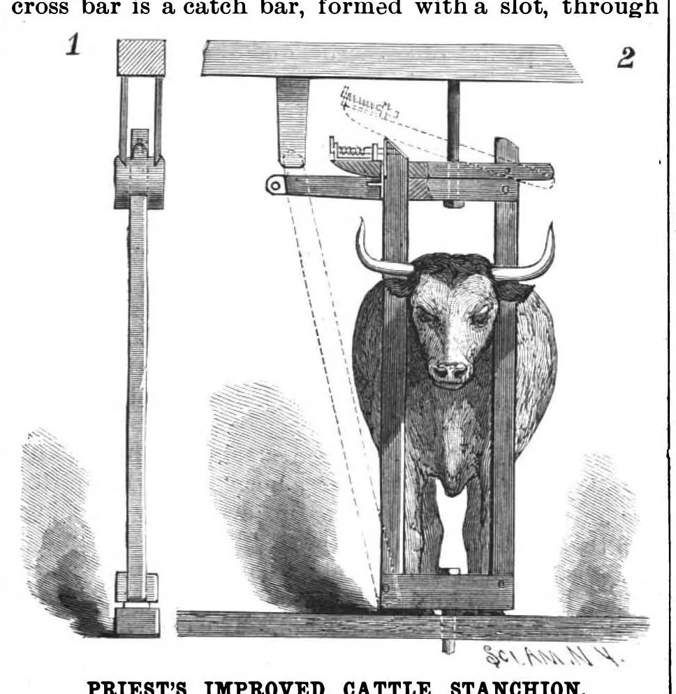 An illustration from Scientific American, Vol. 56, No. 7 (February 1887), 1887, leaf 3