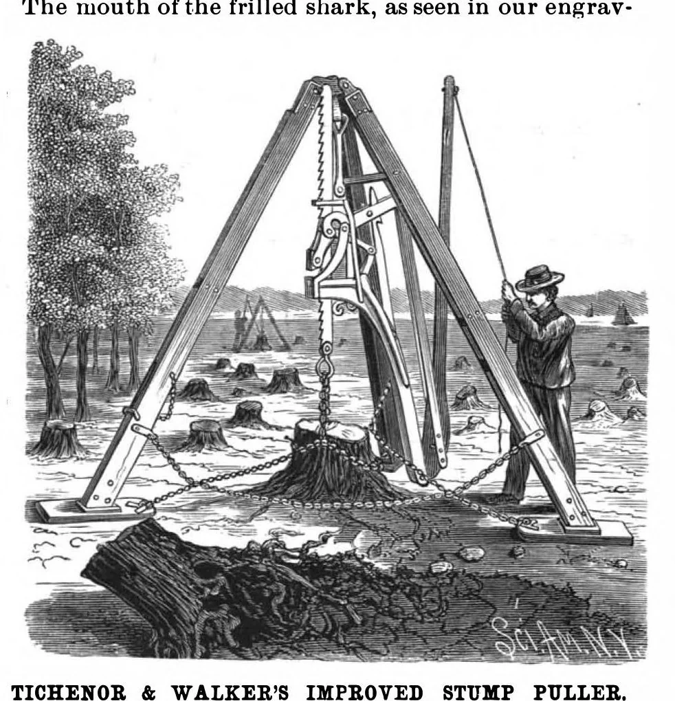 An illustration from Scientific American, Vol. 56, No. 9 (February 1887), 1887, leaf 3