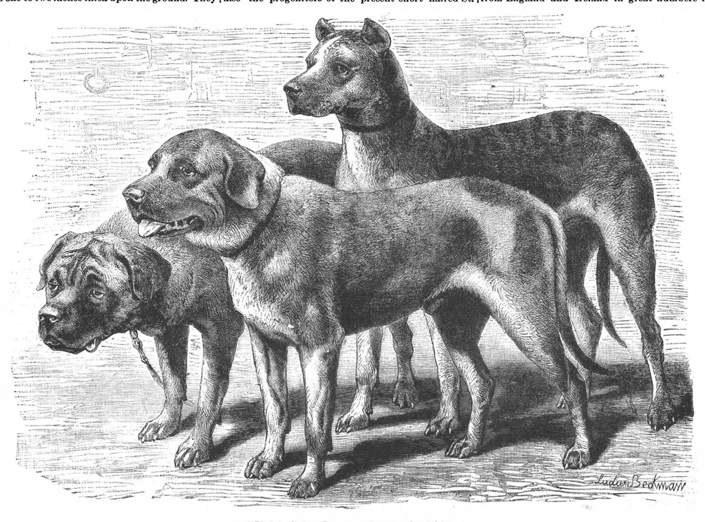 An illustration from Scientific American, Vol. 56, No. 14 (April 1887), 1887, leaf 8