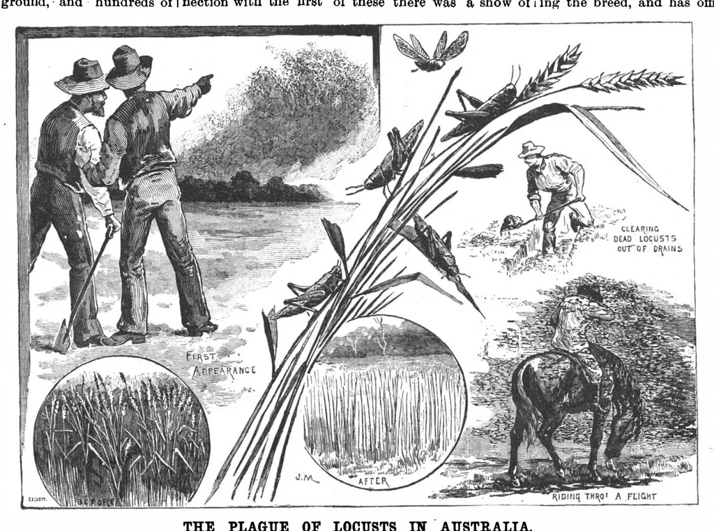 An illustration from Scientific American, Vol. 56, No. 14 (April 1887), 1887, leaf 8